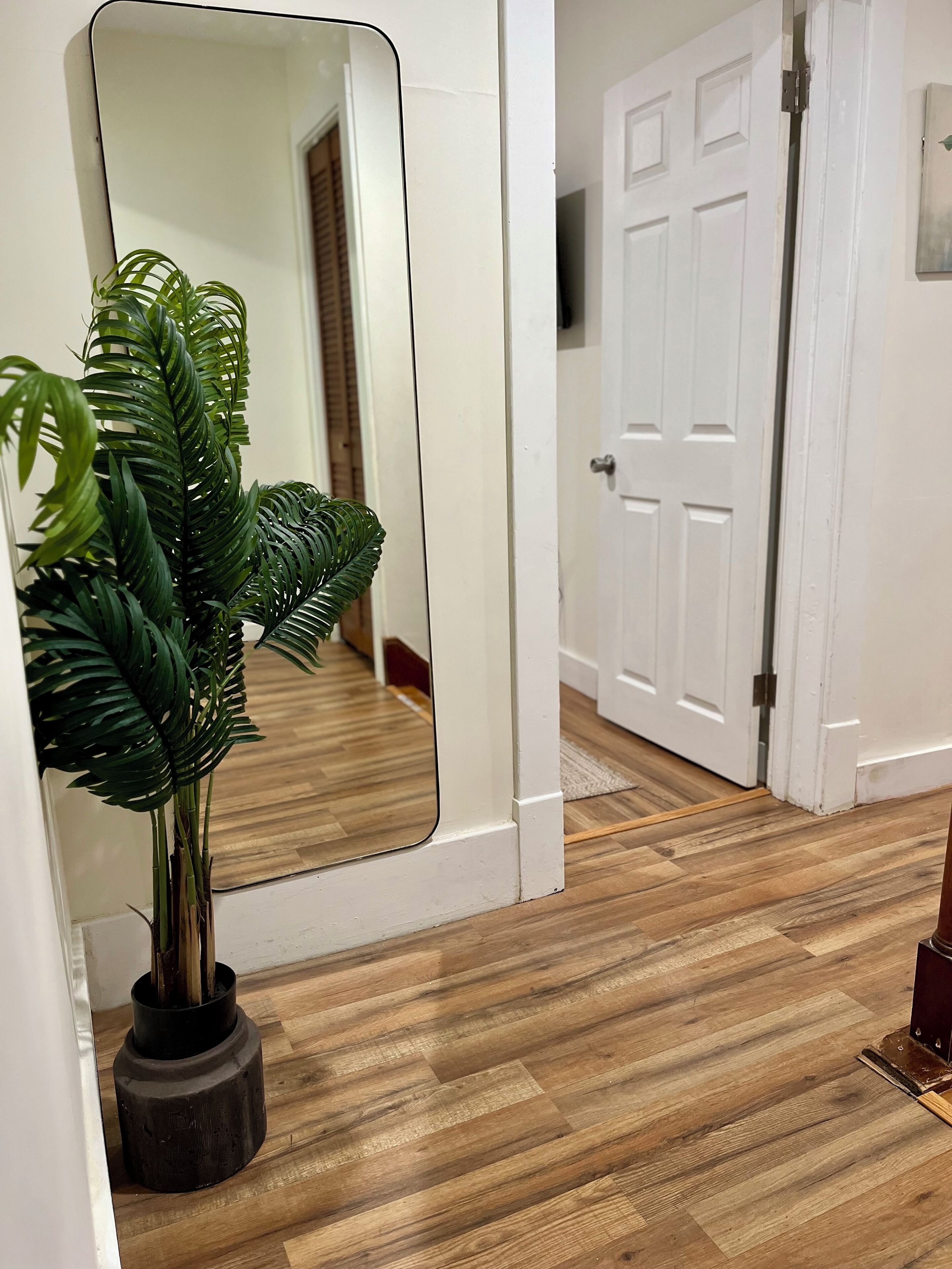 A hallway with a wooden floor, a potted plant, a large mirror, and a white door.