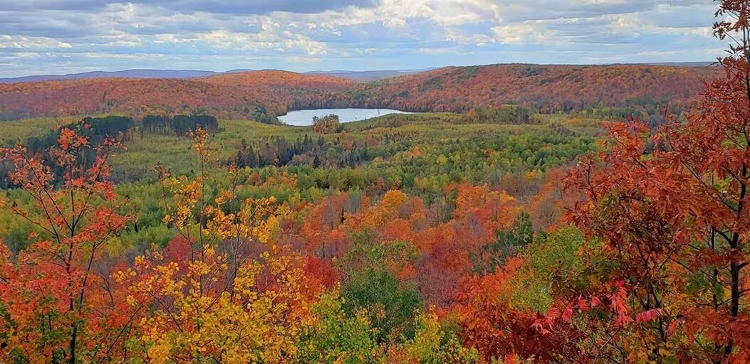 A panoramic view of a forested landscape with a lake in the distance.