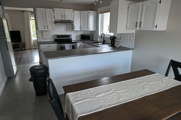 Een magnetron, een kookplaat, een vaatwasser