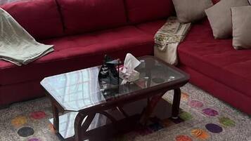 Apartment, Mountain View | Living area | Flat-screen TV
