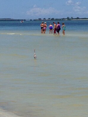 Camastros y toallas de playa