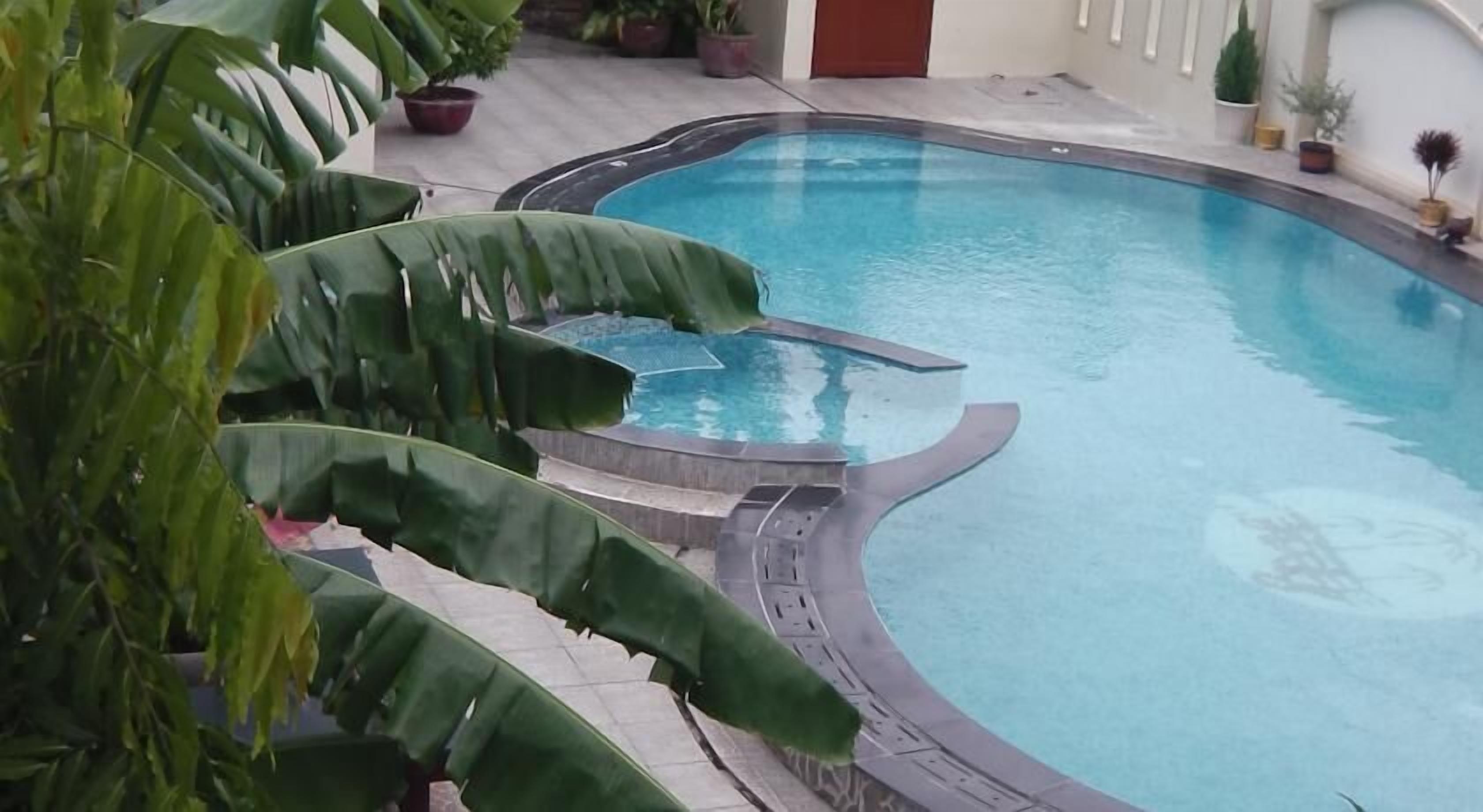 A swimming pool with a curved edge, surrounded by potted plants and a tiled floor.
