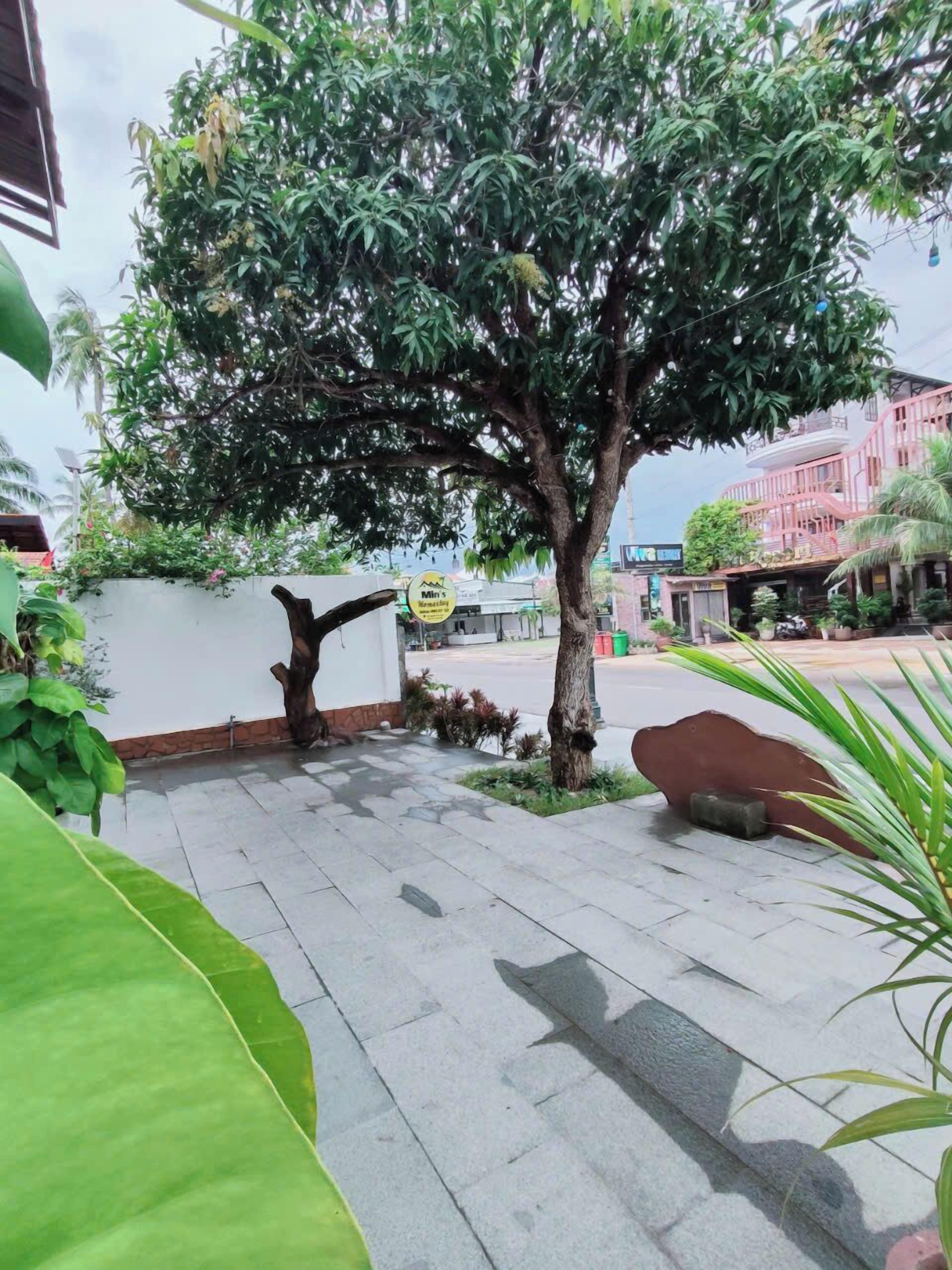 A tree-lined pathway leading to a building with a sign that reads "Min's."