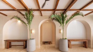 Un pasillo con bancos de madera, plantas en macetas grandes y techos abovedados.