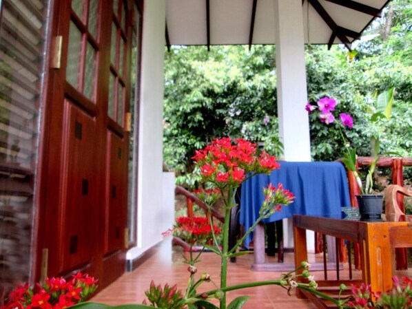 Property grounds - RANGA VILLA APARTMENT
(Hikkaduwa)