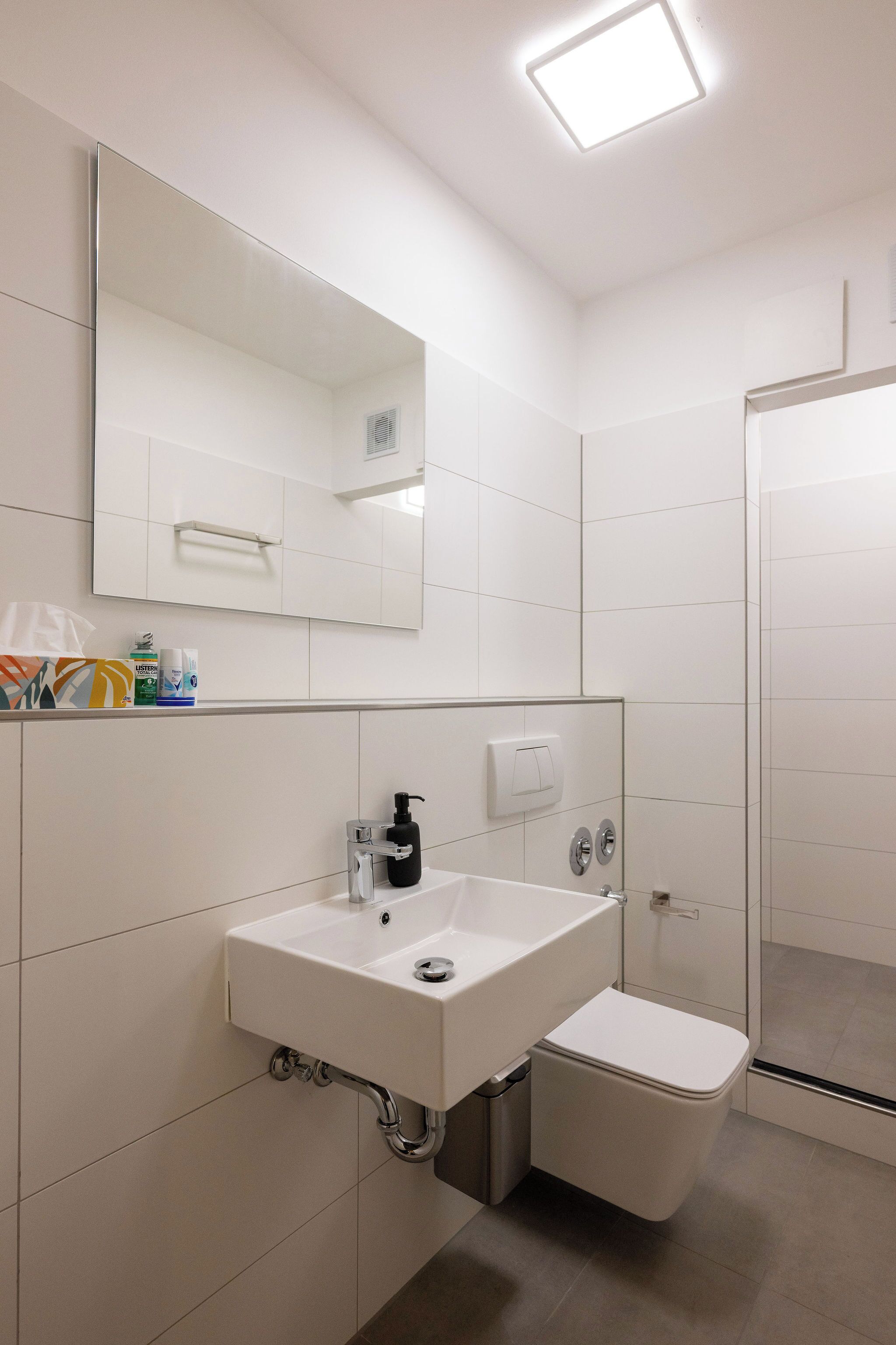 Secador de cabelo, toalhas de banho, sabonete, shampoo