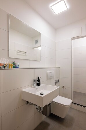 Secadora de cabello, toallas, jabón, shampoo 