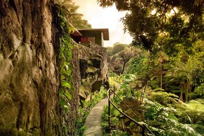 A pathway leading through a lush, green forested area with a stone structure on the left and a building on the right. - Luxury Waterfall Oasis: The Falls at Reed's Island (Hilo)