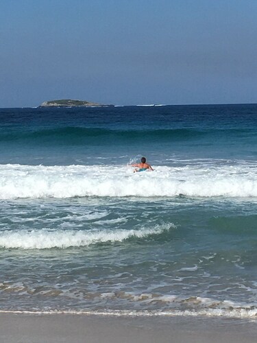 Albany area -Cosy retreat nestled amongst Karri trees