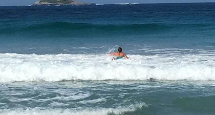 Albany area -Cosy retreat nestled amongst Karri trees