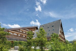 Exterior - Chalet in Gresse-en-Vercors near Ski Slopes (Gresse-En-Vercors)