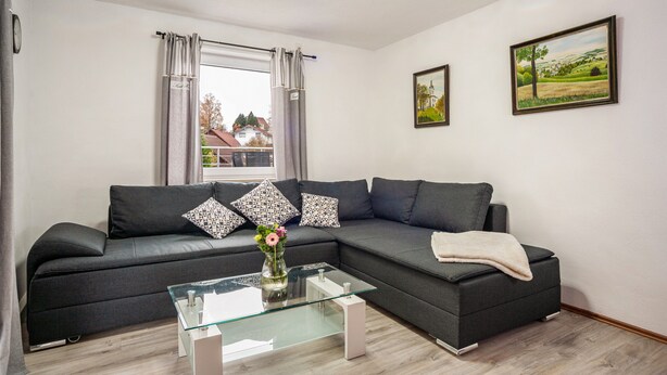 A modern living room with a grey sofa, patterned pillows, a glass coffee table, and two framed landscape paintings on the wall. - Holiday flat ‘Fewo Trudi’ with private terrace and Wi-Fi (Waltenhofen)