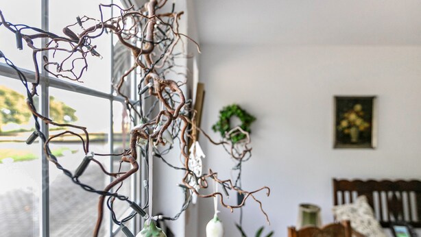 A room with a large window, a hanging plant, a wooden chair, and a framed picture on the wall. - Apartment 'Deichblick' with Balcony and Wi-Fi (Wesselburenerkoog)