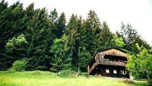 A rustic wooden cabin with a balcony, surrounded by dense forest and a grassy field. - Apartment 'Ground Floor' with Mountain View, Private Terrace and Garden (Oberau)