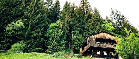 Esterni