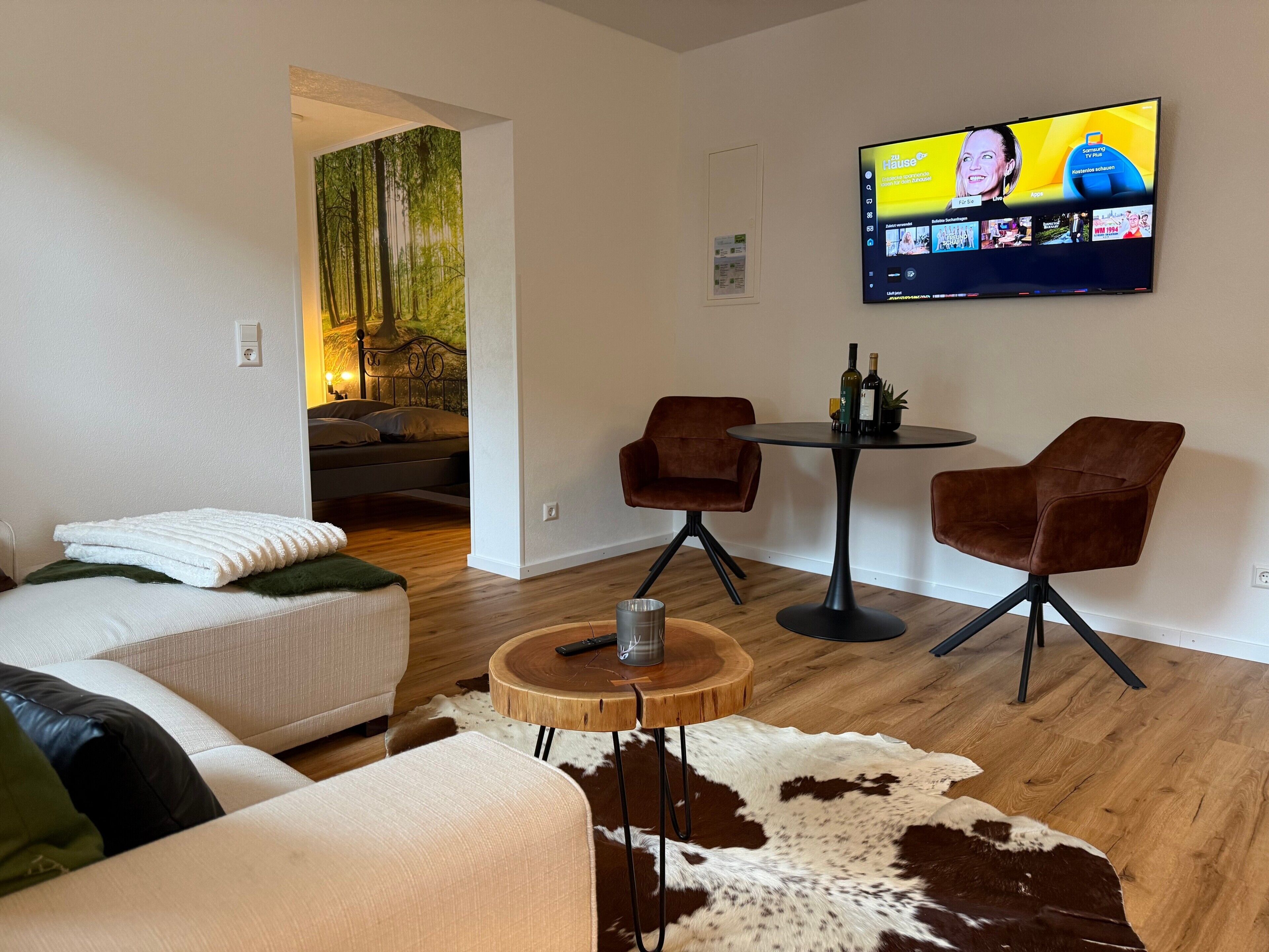 Fernseher