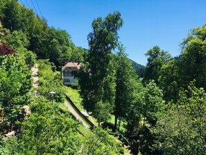 Uma casa rodeada por vegetação exuberante e um céu azul límpido.
