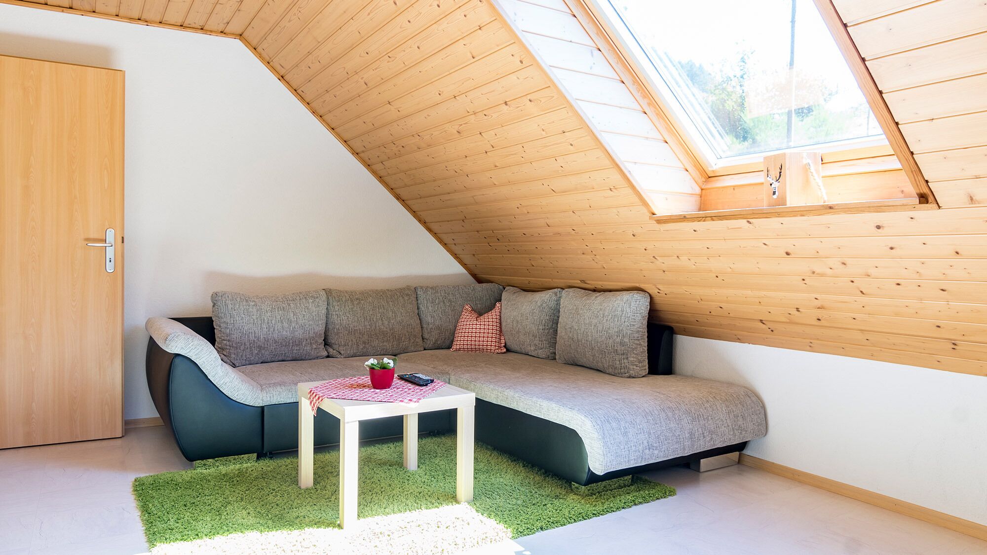 TV, DVD player, table tennis