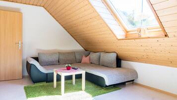 TV, DVD player, table tennis