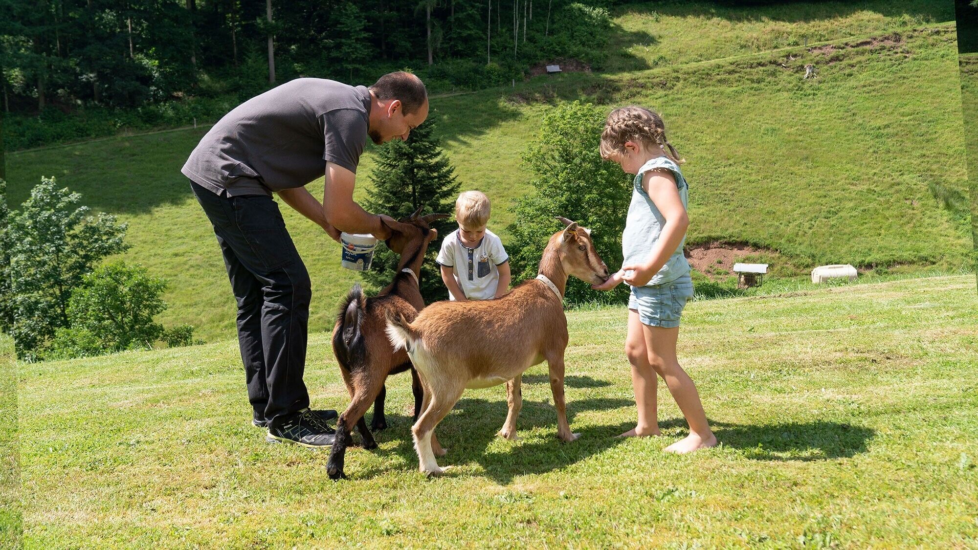 Un espace extérieur verdoyant où l’on voit une personne interagir avec une chèvre et un enfant.