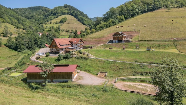 A rural setting with a large house, smaller buildings, and a fenced area with cows.