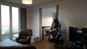 TV, video games, books, stereo - T4-5 with view of the Alps 5 minutes from Lyon (La Mulatière)