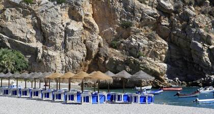 Comeback Hotel California