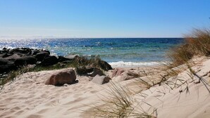 Ein sandiger Strand mit Felsen und vereinzelter Vegetation.