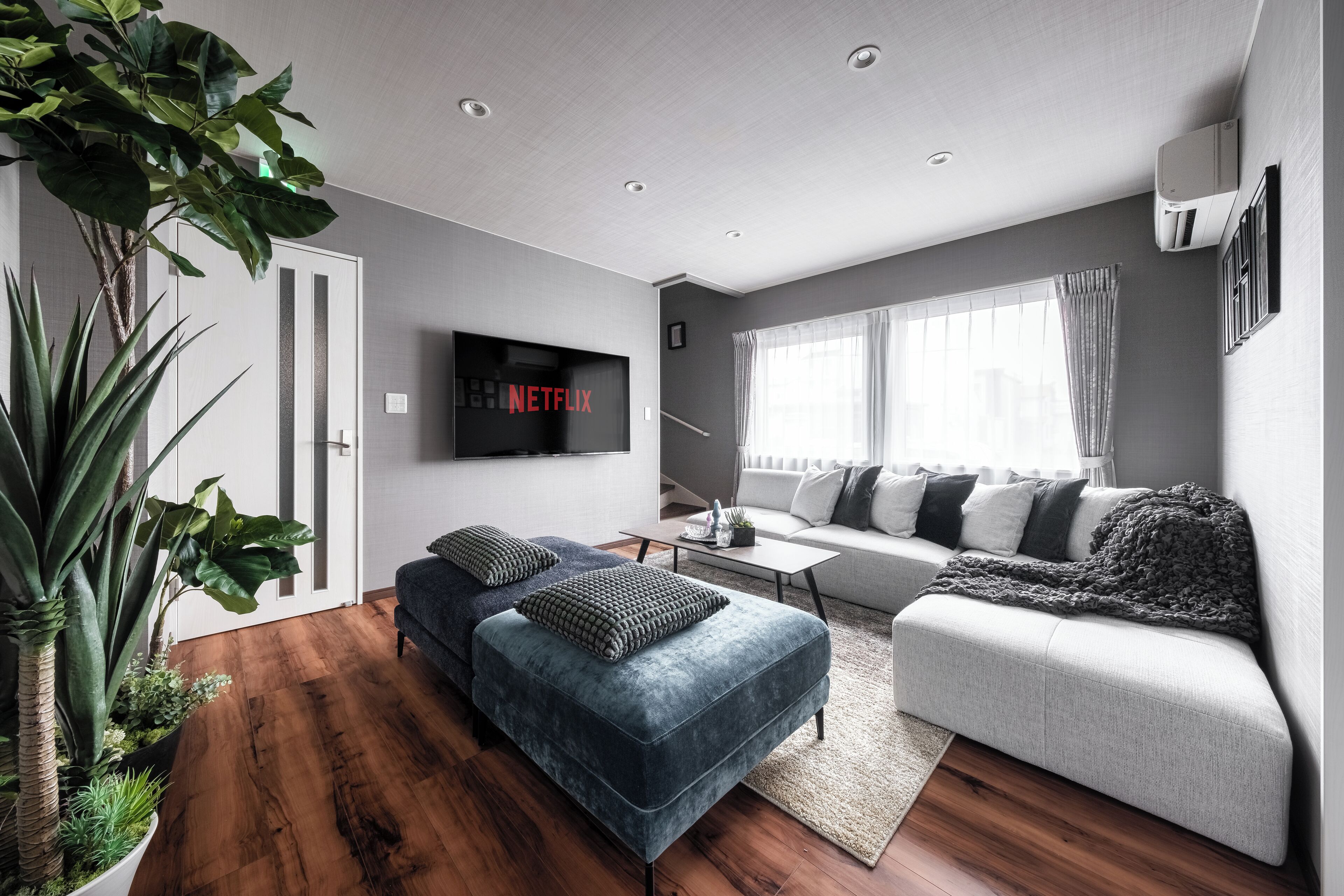 Flat-screen TV