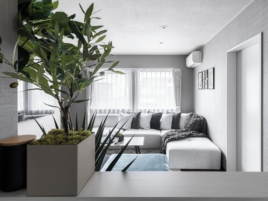 Televisión de pantalla plana