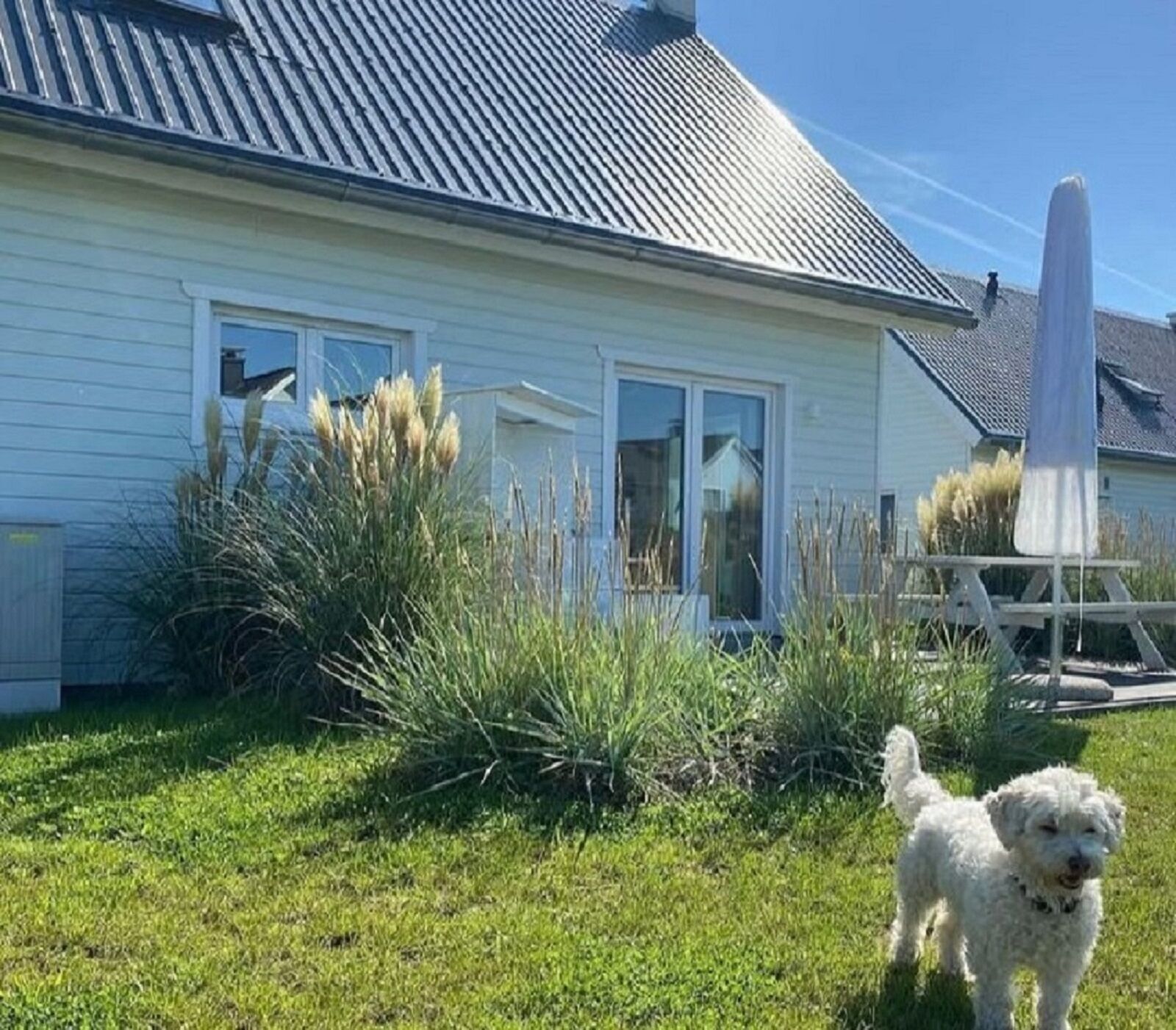 A house with a white exterior, a metal roof, and a grassy yard.