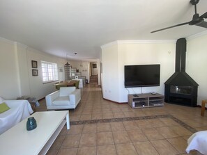 Smart TV, fireplace, books