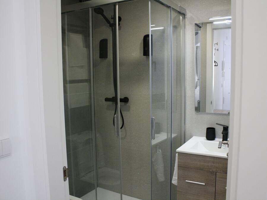 A modern bathroom with a glass-enclosed shower, a white sink, and a mirror above the sink.