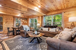 TV, fireplace, video games, books