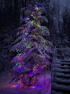 Overnattingsstedets uteområder