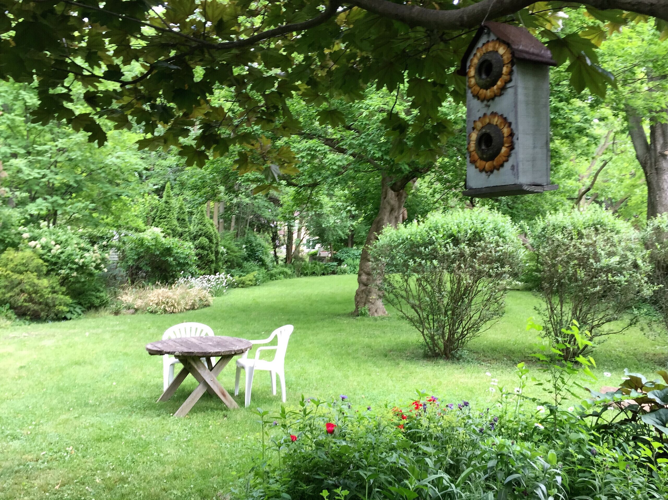 Un jardin avec une table et des chaises en bois, une nichoir et diverses plantes.
