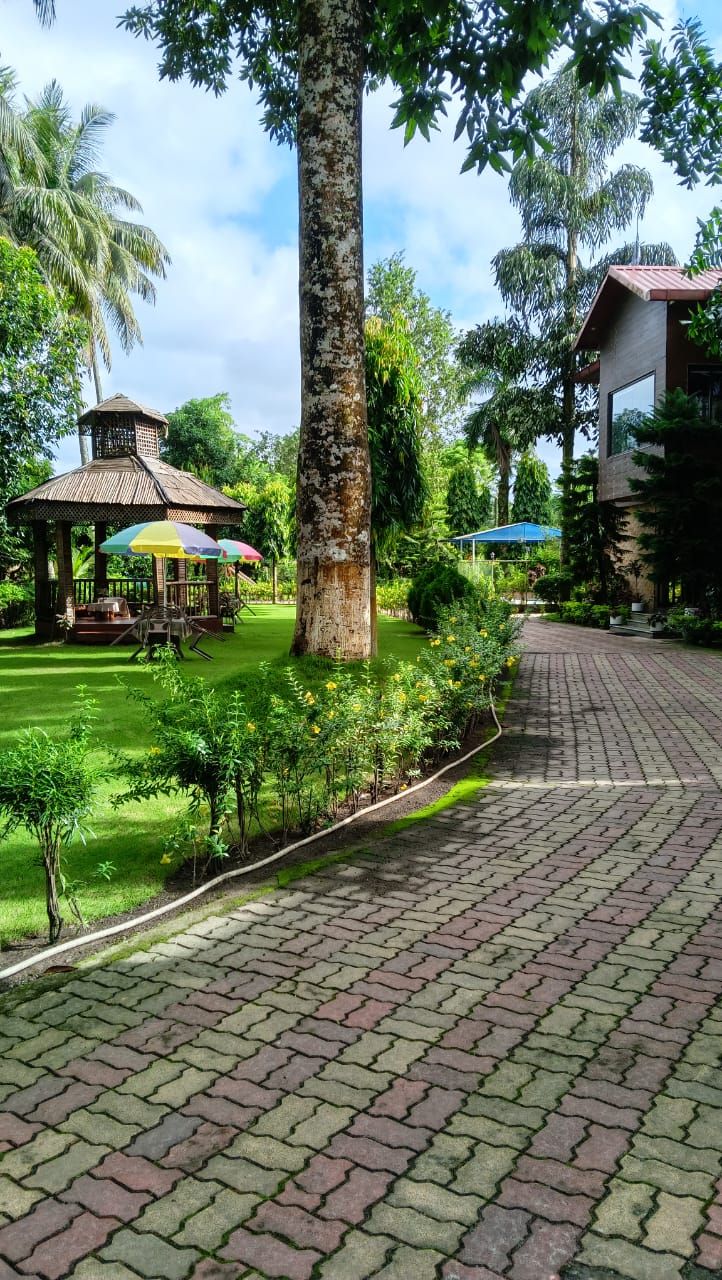 A paved pathway leading to a gazebo with a thatched roof, surrounded by lush greenery and palm trees.