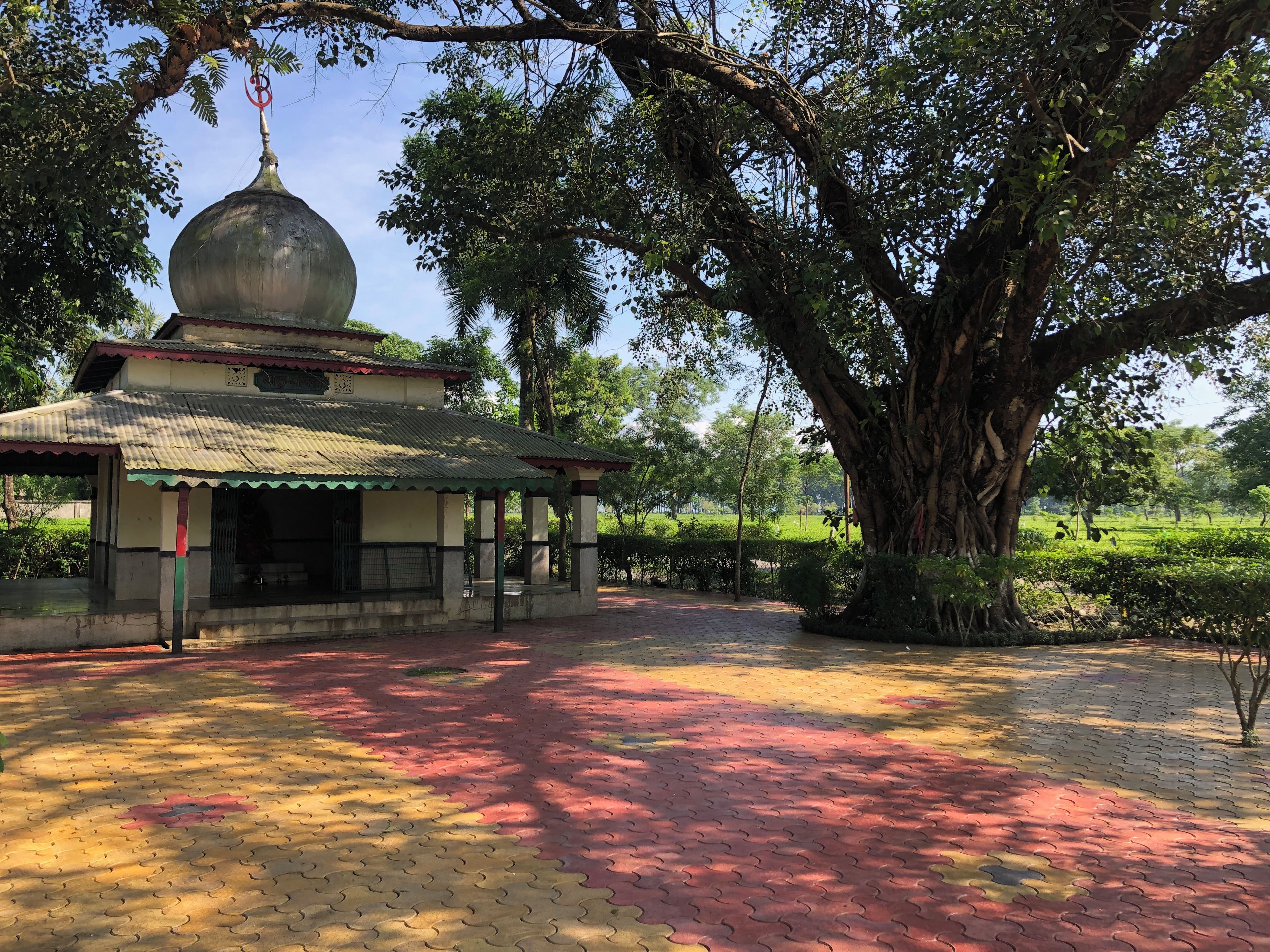 A traditional building with a dome roof, surrounded by lush greenery and a paved walkway.