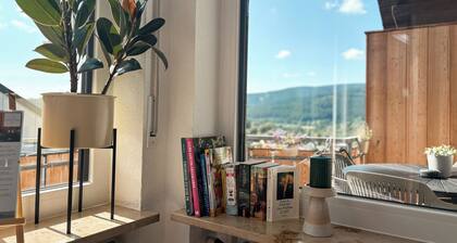 Scenic View: 2 BR, Balcony, Foosball, Dogs are free, Private Parking, Near Lake
