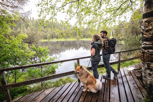 Vue + confort: 2 chambres, Balcon, Baby-Foot, Chiens gratuits, Parking privé