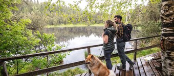 Scenic View: 2 BR, Balcony, Foosball, Dogs are free, Private Parking, Near Lake