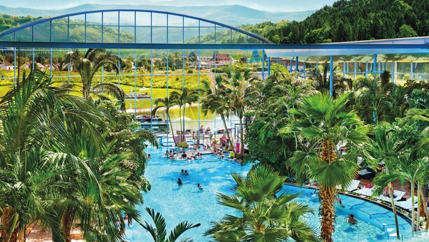 A large outdoor swimming pool surrounded by palm trees, with a glass bridge overhead and a view of a mountainous landscape.