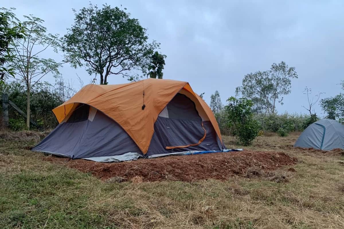 Basic Tent | 1 bedroom