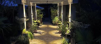 Wilderness Jungle Camp