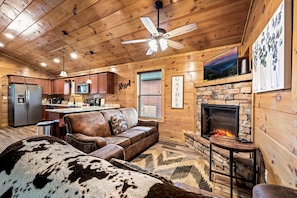 TV, fireplace, video games, offices