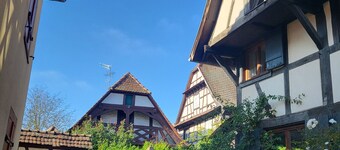 Maison Alsacienne de Charme Dans Cadre Arboré