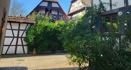 Maison Alsacienne de Charme Dans Cadre Arboré