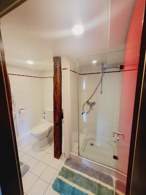 Hair dryer, bidet, towels, soap - Maison Alsacienne de Charme Dans Cadre Arboré (Vendenheim)