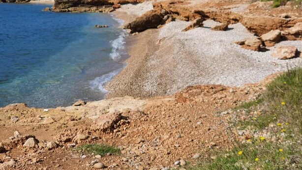 Beach - Alcanar Costa (CT)