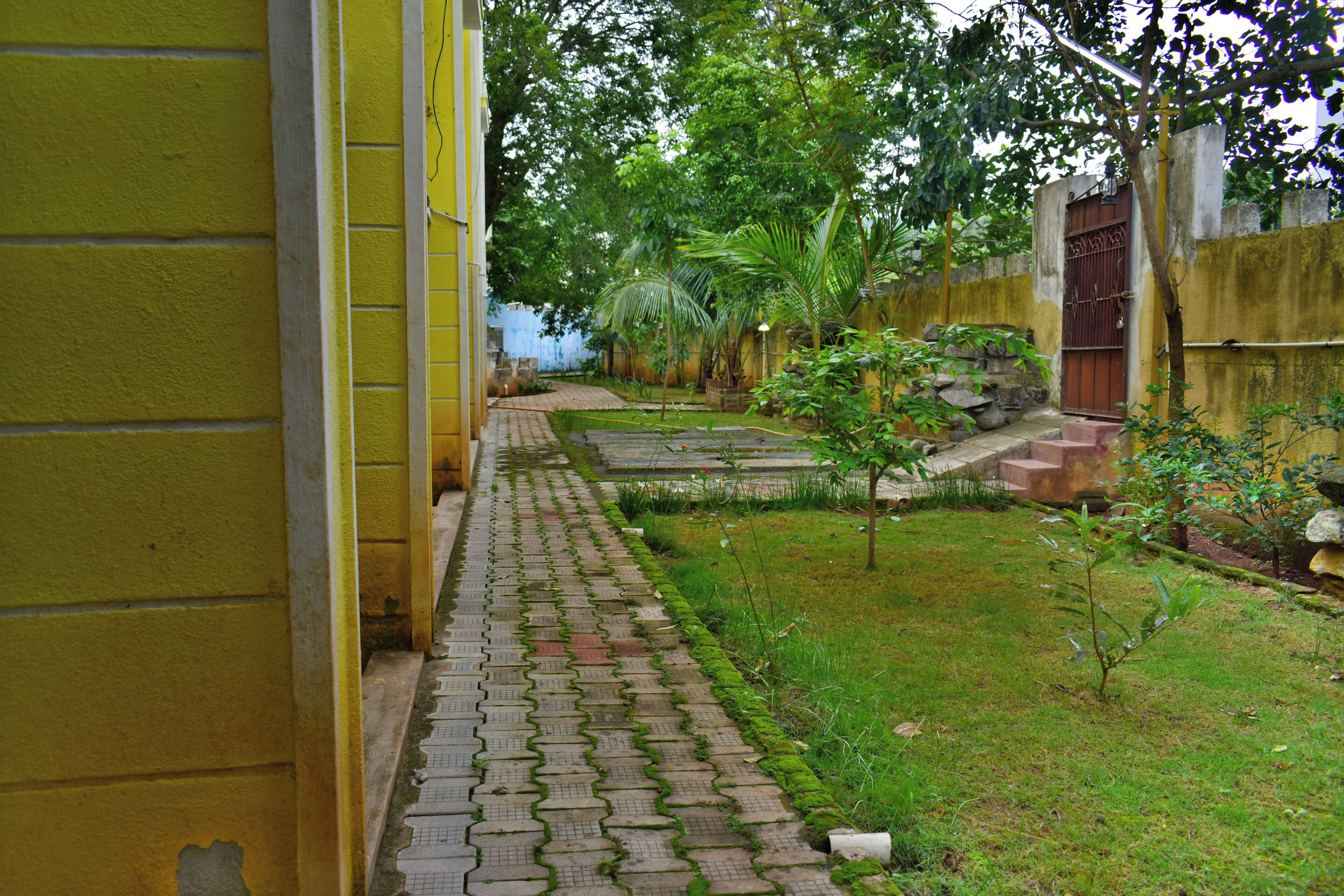 A narrow pathway leading to a small garden area with a paved walkway and a grassy lawn.